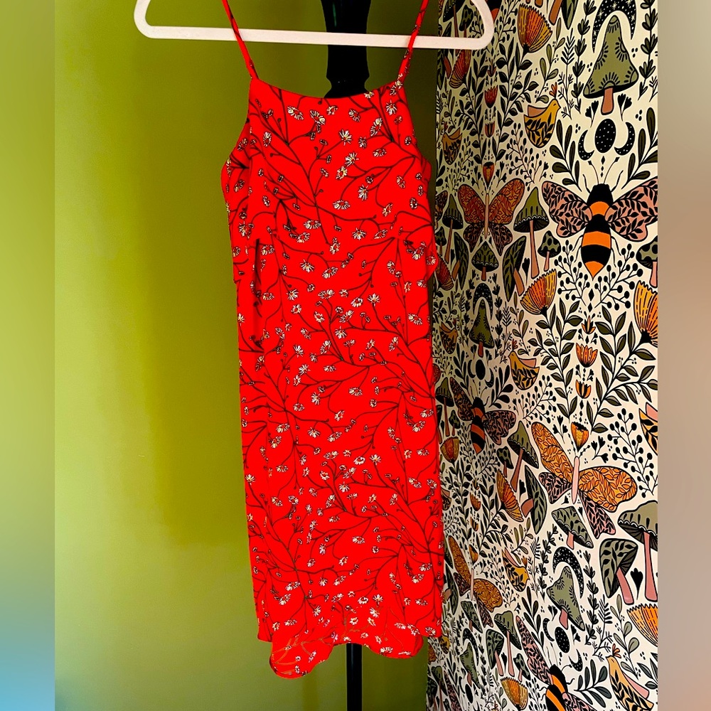 Poppy Red Hi Lo Dress